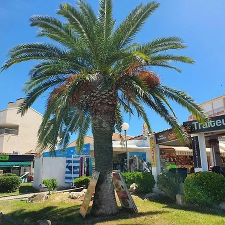 Avec Clim, Piscine, Ascenseur Et Parking, Proche Et Commerces - Fr-1-307-143 Apartmán